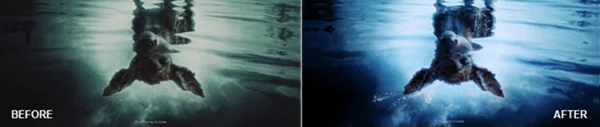 Viral Luts