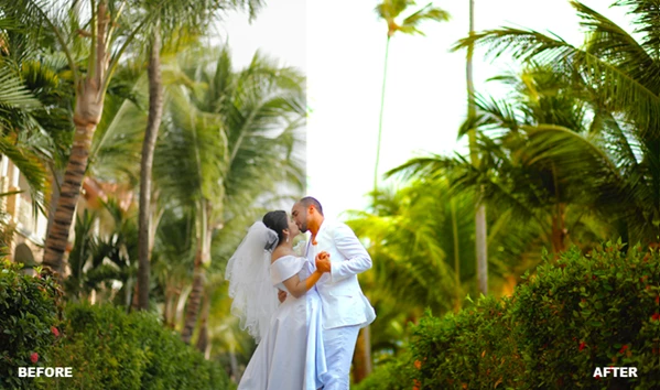 Beautiful Wedding LUTs Bundle