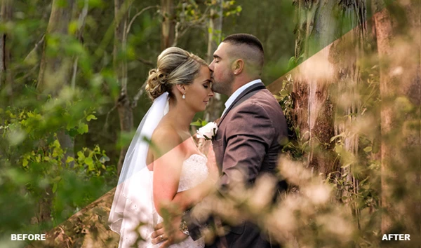 Beautiful Wedding LUTs Bundle