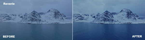 Signature Collection LUTS