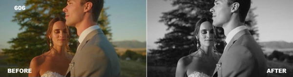 Signature Collection LUTS