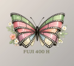 FUJI 400 H by Very Good Presets (VGP)