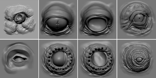 EYES
