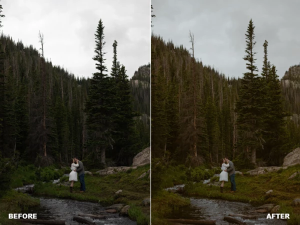 BC Mountain Presets