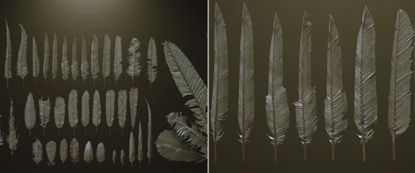 FEATHERS