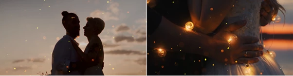 Wedding Light Transitions