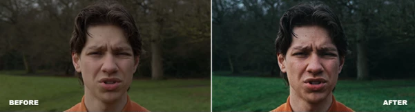 Apple Film Grade