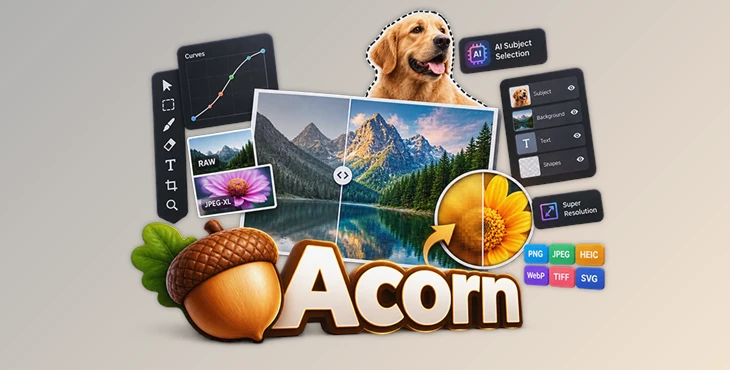 Acorn