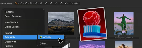 Affinity by Canva