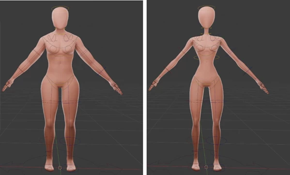 Bodiez: Customizable Male & Female Base Meshes by Superhivemarket
