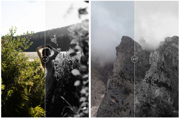 Tri-X Discover Classic Film Looks by Very Good Presets