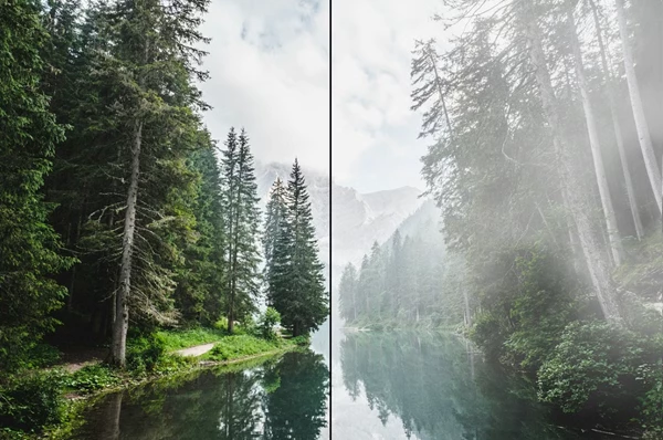 Fog & Mist - Photoshop Brushes by Creativemarket