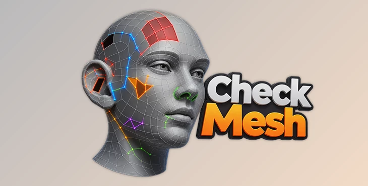 Check Mesh 
