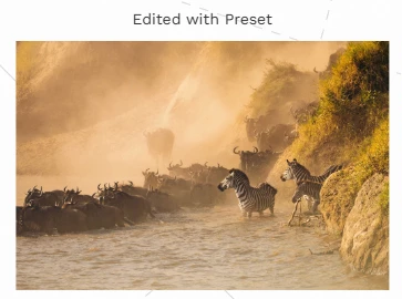 Sparling Pro Collection by Emmett Sparling
